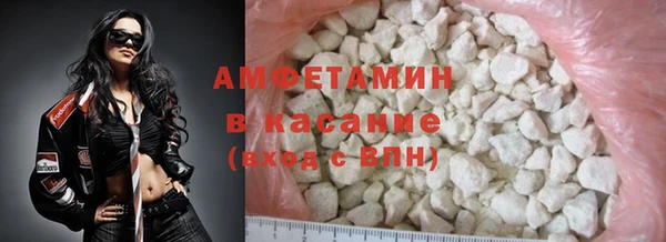 сатива Аркадак