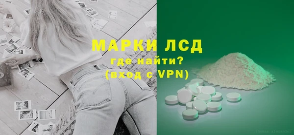 сатива Аркадак