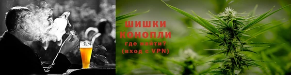 сатива Аркадак