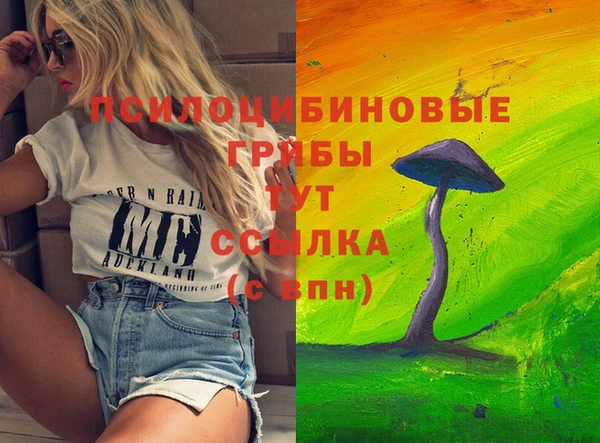 сатива Аркадак