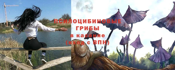 PSILOCYBIN Армянск