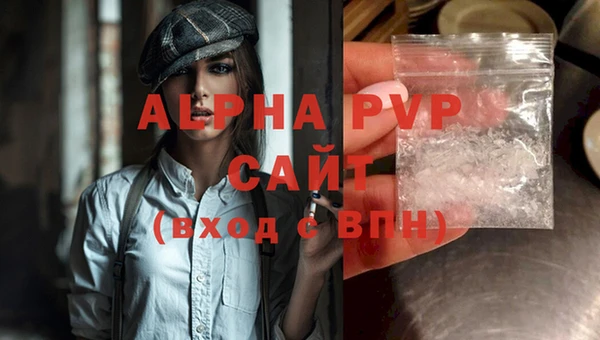 сатива Аркадак