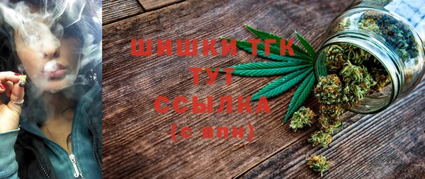сатива Аркадак